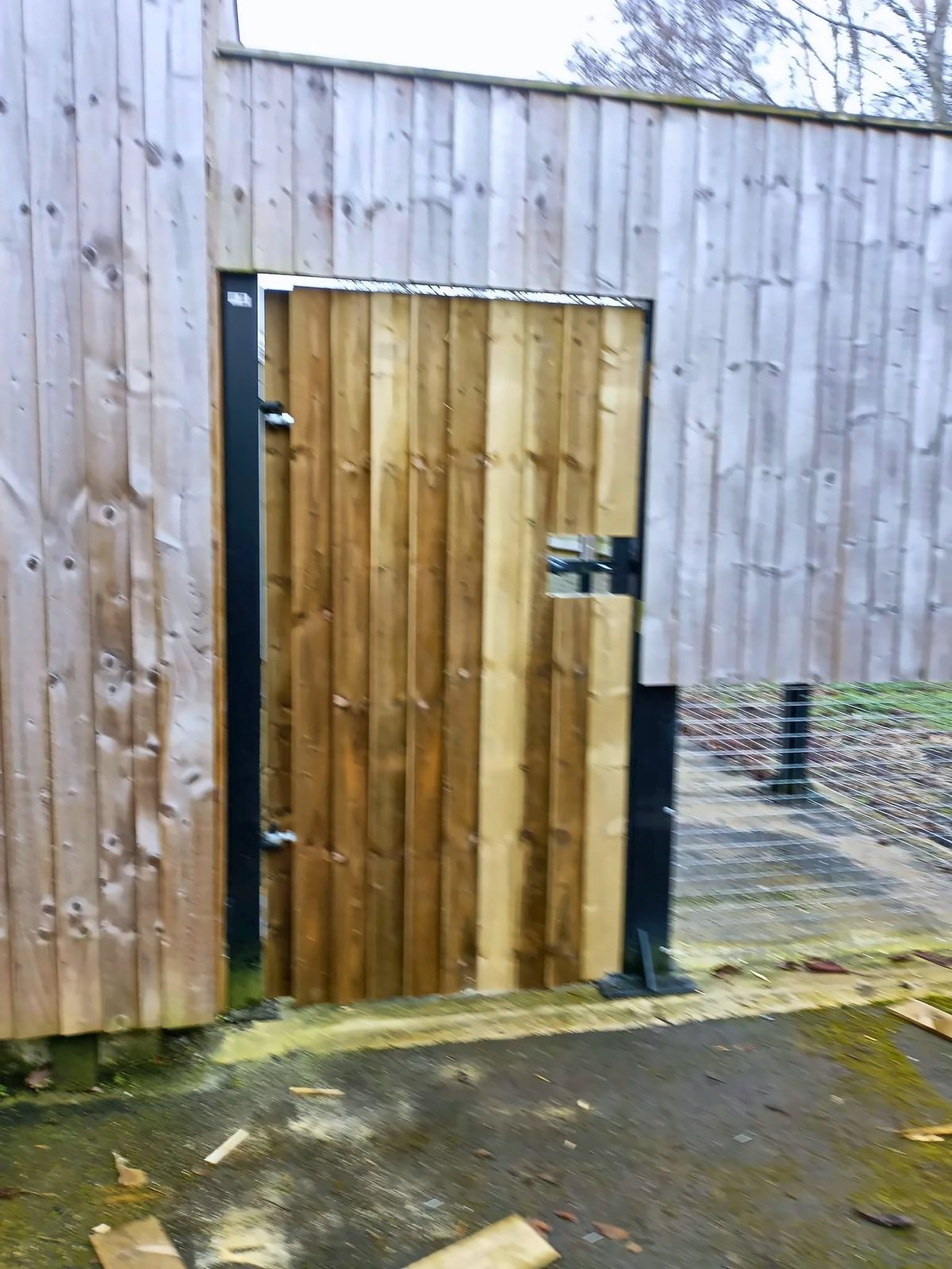 New timber garden gate in a close-boarded fence